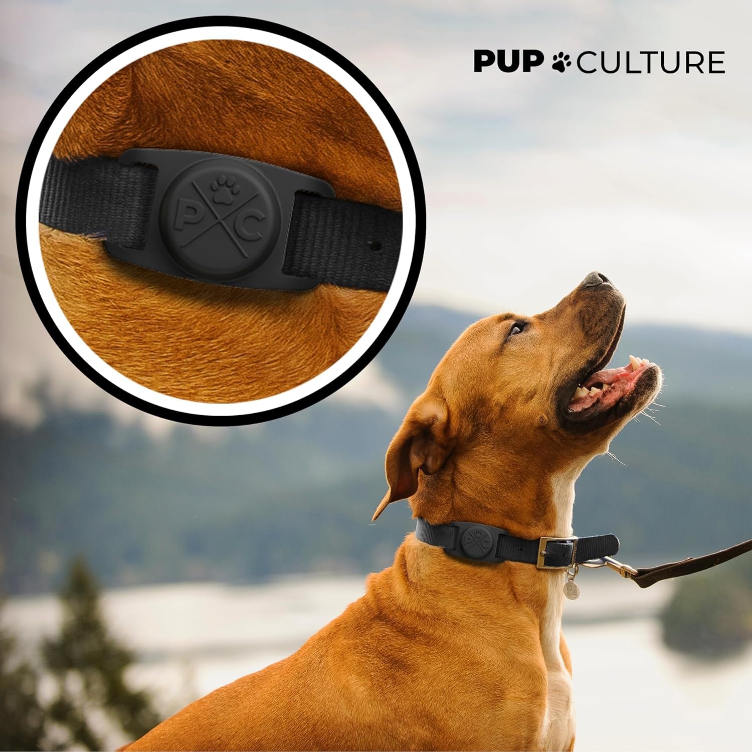 Airtag-Compatible Dog & Cat Collar – Durable Protective Holder for Apple Airtag