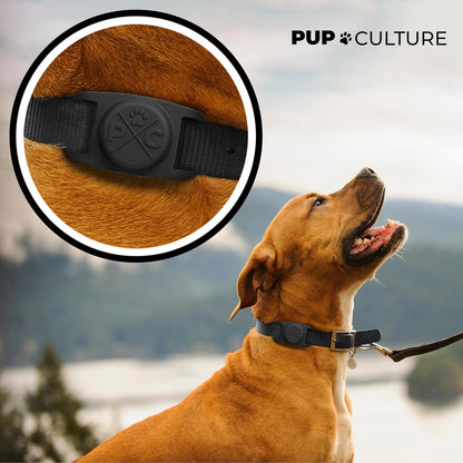 Airtag-Compatible Dog & Cat Collar – Durable Protective Holder for Apple Airtag