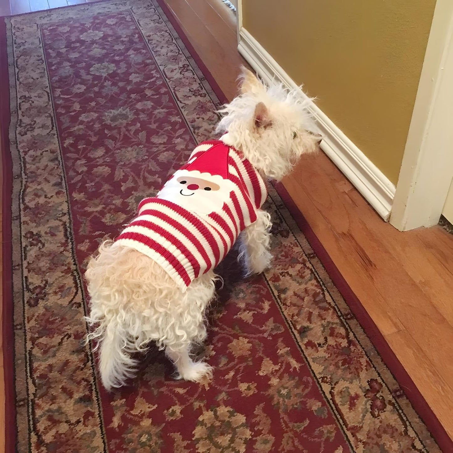 Santa Claus Dog & Cat Sweater – Christmas Holiday Pet Clothes Size Small