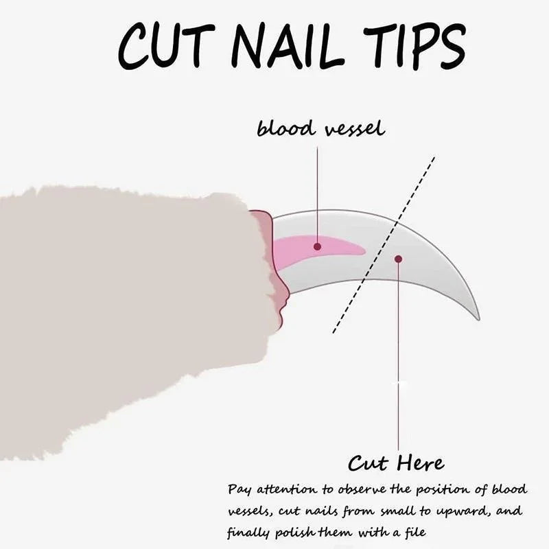 Pet Nail Clippers for Dogs & Cats – Safe, Easy Grooming Tool for Claw Care