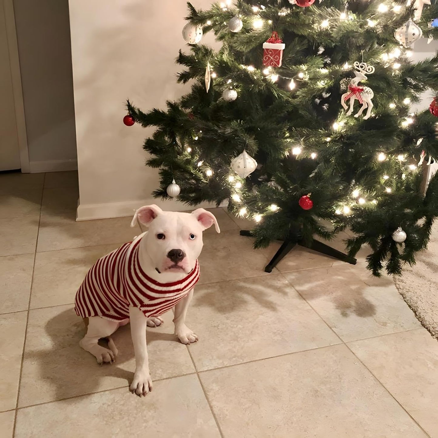 Santa Claus Dog & Cat Sweater – Christmas Holiday Pet Clothes Size Small