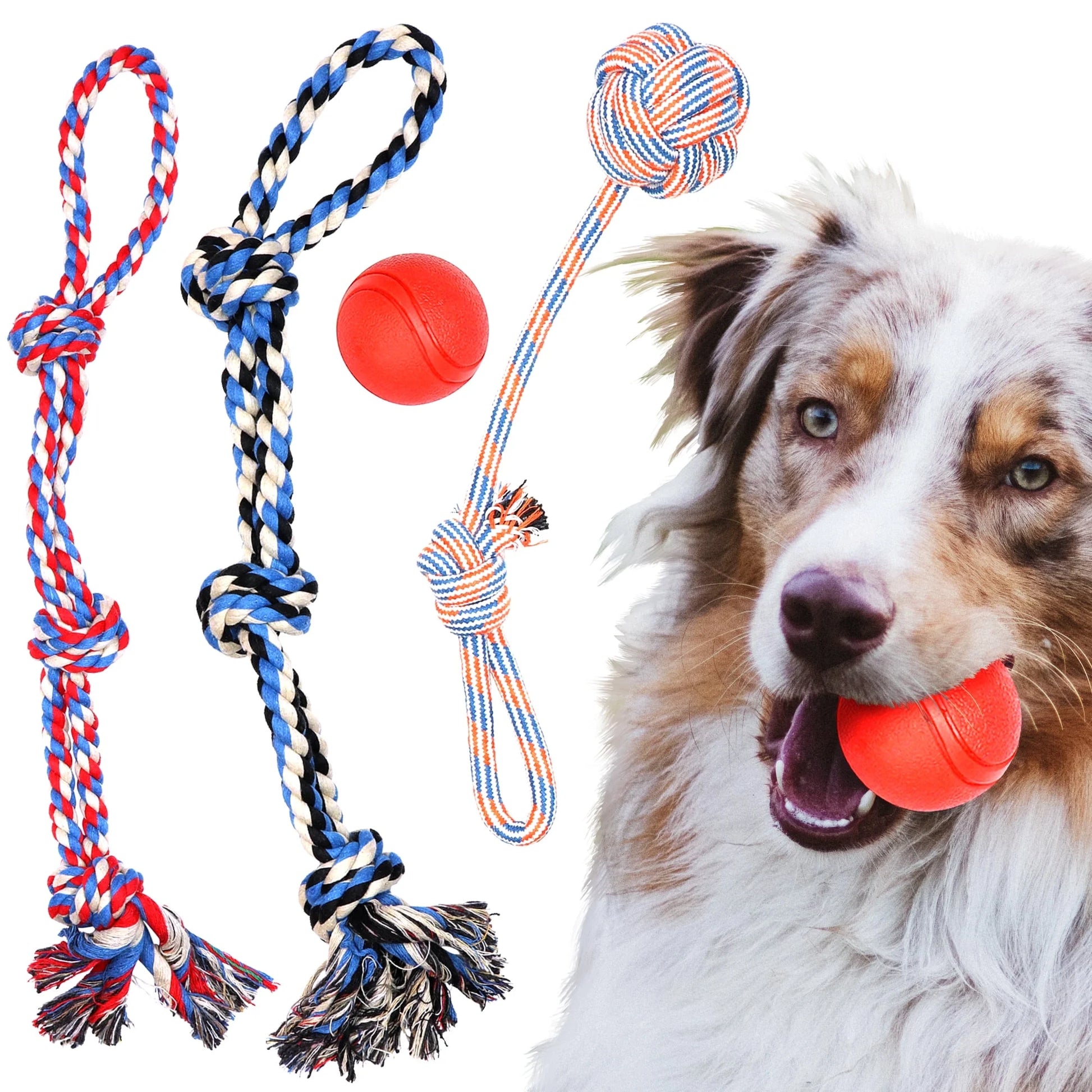 Large Dog Chew Toys for Aggressive Chewers – 4-Pack Durable Ropes & Balls