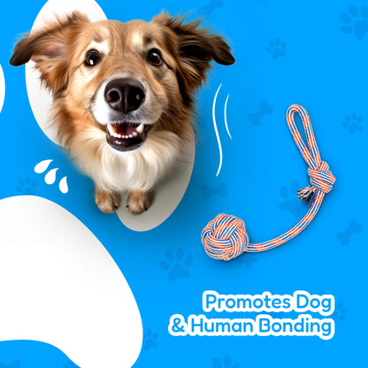 Large Dog Chew Toys for Aggressive Chewers – 4-Pack Durable Ropes & Balls