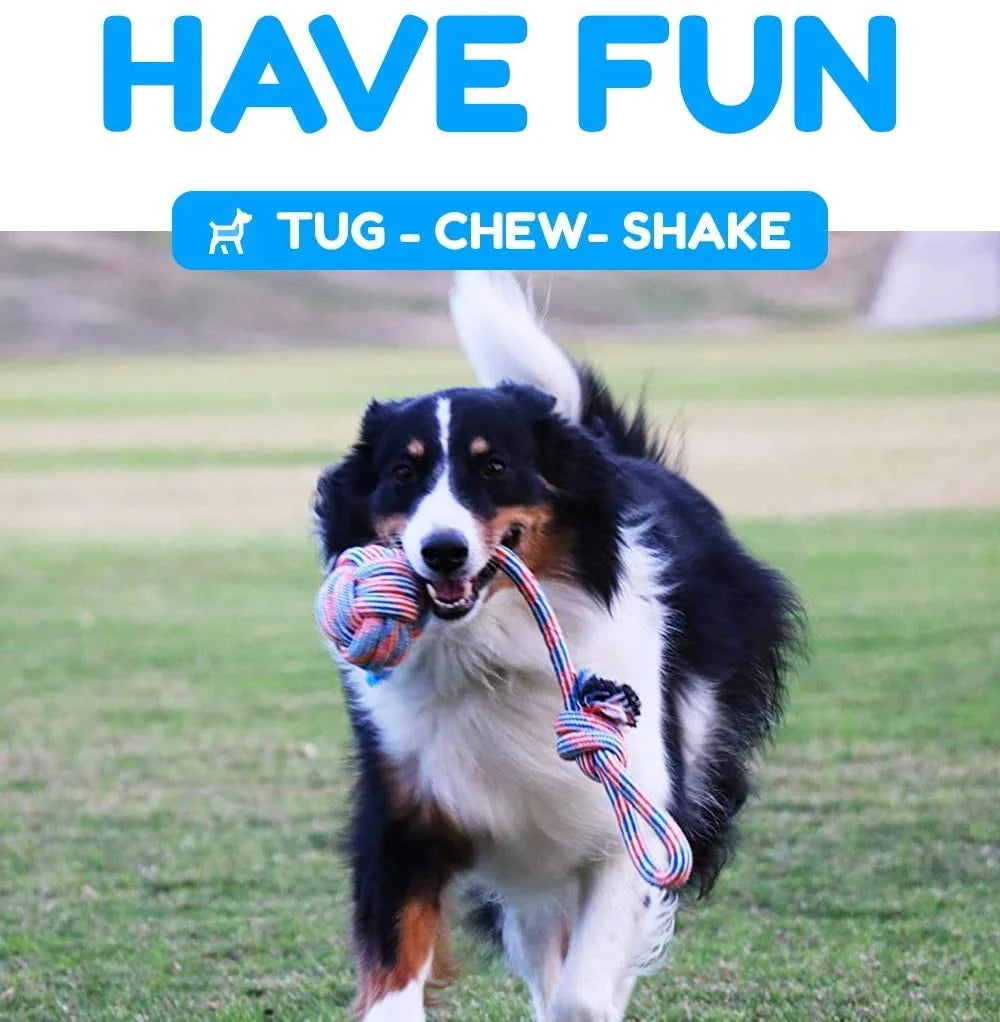 Large Dog Chew Toys for Aggressive Chewers – 4-Pack Durable Ropes & Balls