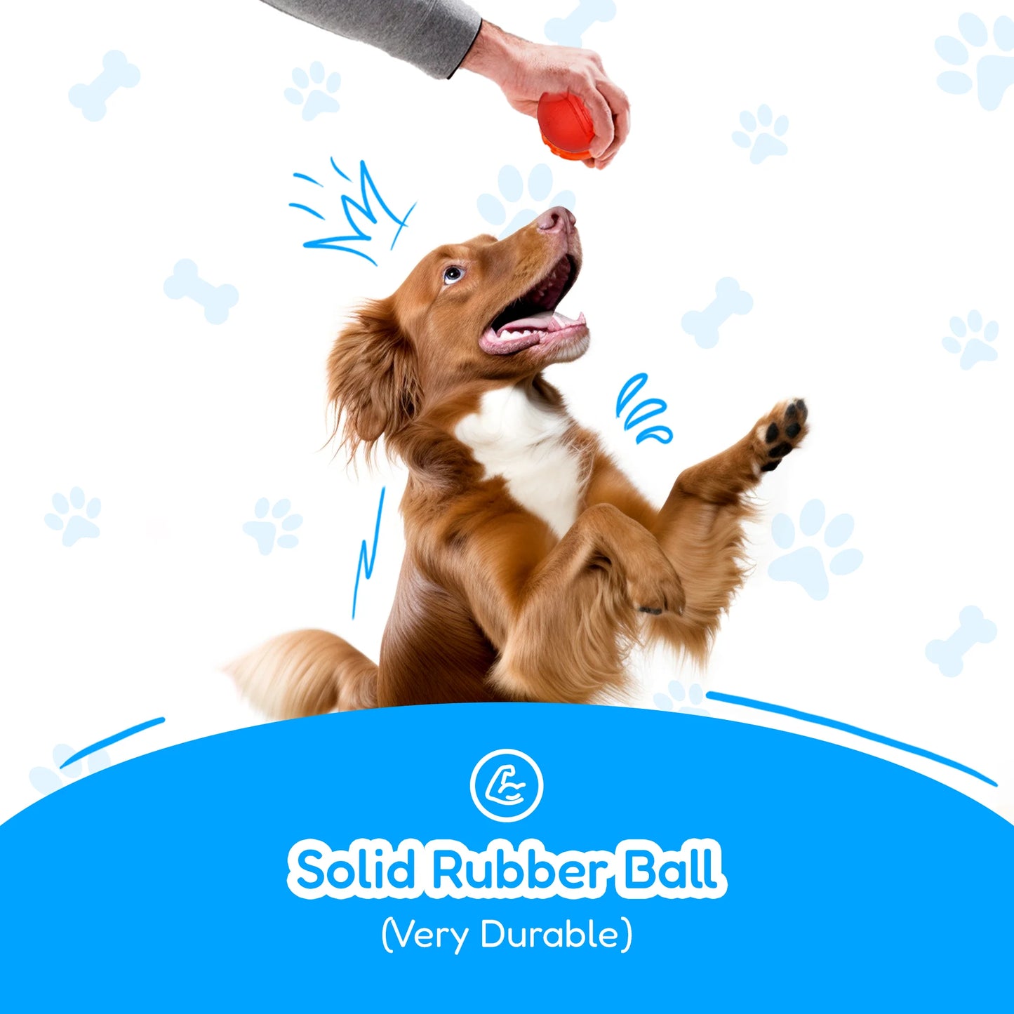 Large Dog Chew Toys for Aggressive Chewers – 4-Pack Durable Ropes & Balls